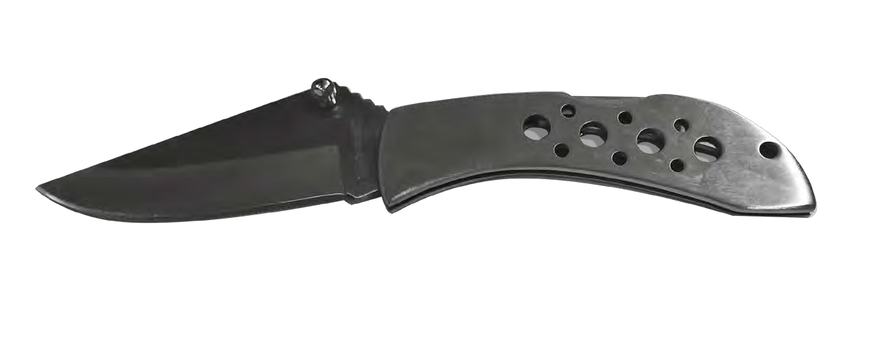 Stainless Steel Folding Knife